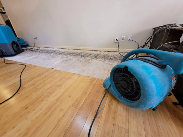 Professional Structural Drying technician working in Prairieville, LA